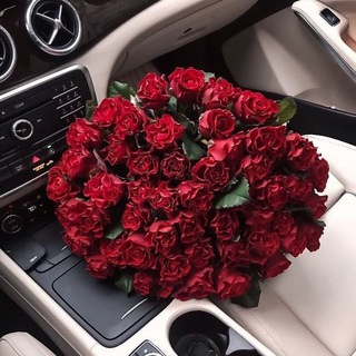 لوگوی کانال تلگرام al_amal5 — ♥️نبـض الأمـل♥️