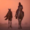 Логотип телеграм канала @al_taqqwa — 🕋 TAQWA تقوى‎