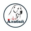 Логотип телеграм канала @alabaj19 — АЛАБАЙ