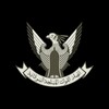 Telegram channel أنصار القوات المسلحة السودانية logo