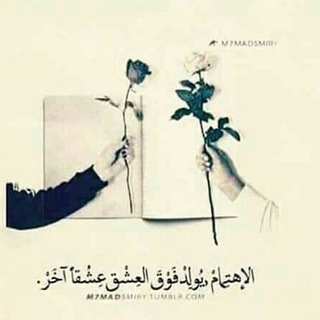 Логотип телеграм -каналу alameersoltan — حكـايـة قلـب :$