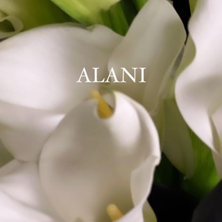 Логотип телеграм канала @alani_brand — Alani