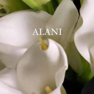 Telegram channel Alani logo