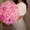 Логотип телеграм канала @alankaaaa1 — alana