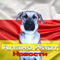 Logo saluran telegram alanonartnovosty — АЛАНО-НАРТ