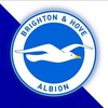 Логотип телеграм канала @albionevening — Под крылом Хюрцелера | Brighton