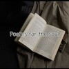 Логотип телеграм канала @albreiw — 🖤Poems for the soul🤍