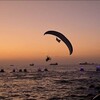 شعار قناة تلجرام aleasqalaniu — قناة محمد ساجي