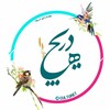 Telegram channel الف دریچه logo