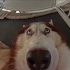 Логотип телеграм канала @aleksey_selivanov — Aleksey & It