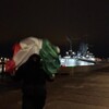Логотип телеграм канала @alerom1k — Кабинет Маммута