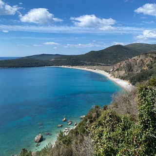 Логотип телеграм канала @alex_stone_monre — ALEX STONE жизнь одного эмигранта