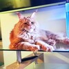 Логотип телеграм канала @alex_funny — I_am Funny