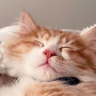Логотип телеграм канала @alexa_1713 — Фоны ^-^