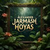 Логотип телеграм канала @alexanderjarmashhoyas — Alexander Jarmash (hoyas) 🌺