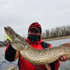 Логотип телеграм канала @alexbuerakovfishman — Alex Buerakov