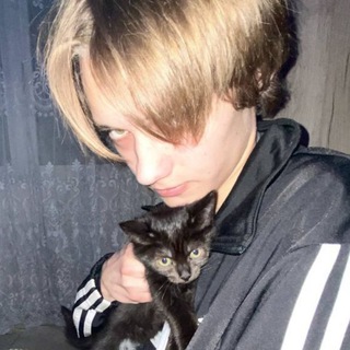 Логотип телеграм канала @alexey_workaet — TEMNIKOV