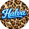 Логотип телеграм канала @alexey_khalagaev — •°~Halva~°•