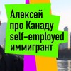 Логотип телеграм канала @alexfromcanada — Алексей из Канады.