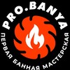 Логотип телеграм канала @alexprobanya — pro.banya | Первая банная мастерская