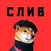 Логотип телеграм канала @alexrich2018_sliv_vip — AlexRich Слив