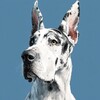 Логотип телеграм канала @alexveterinaryklinik — ЦВМ "АЛЕКС"