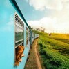 لوگوی کانال تلگرام alfa_you — Beautiful You | تو زیبایی