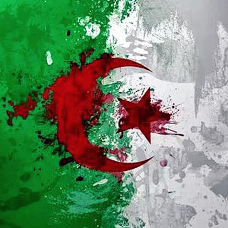 Логотип телеграм канала @alg_today — Алжир сегодня 🇩🇿