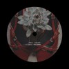 Логотип телеграм канала @algusm — Àlgus