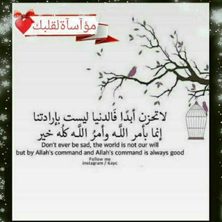 لوگوی کانال تلگرام alhayae — مــوٌآســآةّ لَقــلَبــك ♡︎