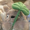 Логотип телеграм канала @aliceies — Закрыт (влоги айдолов // обои & музыка - кпоп