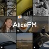 Логотип телеграм канала @alicerfm — AliceFM про контент и всё такое 💌
