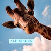 Logo of telegram channel aliexpress_deshevo_1 — FreeAliExpress