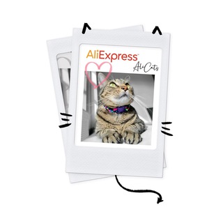 Логотип телеграм -каналу aliexpresscats — 🌶 𝐀ʟì↻ᴀᴛട 🐾