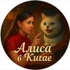 Логотип телеграм канала @alisa_kitay — Алиsа в Киtае