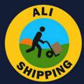 Telegram channel Ali Shipping Indian Dropshipping logo