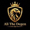 Logo of telegram channel alithe_degen — Ali The Degen VIP