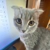 Логотип телеграм канала @alivveaa — алинч¡к
