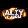 Telegram channel ALIY PUBGM logo
