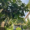 لوگوی کانال تلگرام aljamaloftheworld — AlJamal