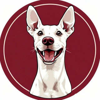 Логотип телеграм канала @all_about_dog — Пёс с тобой 🐶