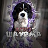 Логотип телеграм канала @alladincavalerre — Агро шаурма