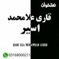 Logo saluran telegram allamahmmd — قاری علا محمد اسیر