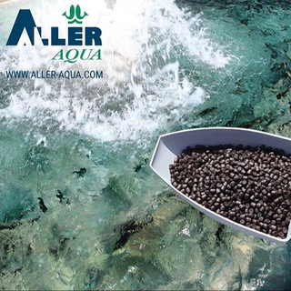 Telegram channel ALLER AQUA UZB logo