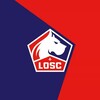Логотип телеграм канала @allez_lille — 𝙻𝙾𝚂𝙲_𝙻𝚒𝚕𝚕𝚎 | Les Dogues