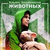 Логотип телеграм канала @allianceforanimals — Альянс Защитников Животных