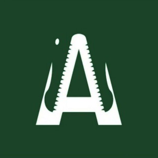 Логотип телеграм канала @alligatornews — Аллигатор News