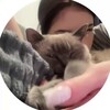 Telegram channel аллисаваллова logo
