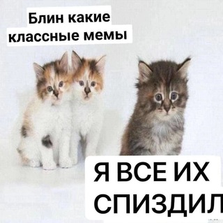 Логотип телеграм канала @allmems_chat — AllMEMS