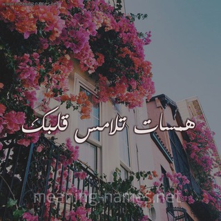لوگوی کانال تلگرام almahab — هِہمِـسًـآتُ تُلَآمِـسًـ 💞قَلَبّگ